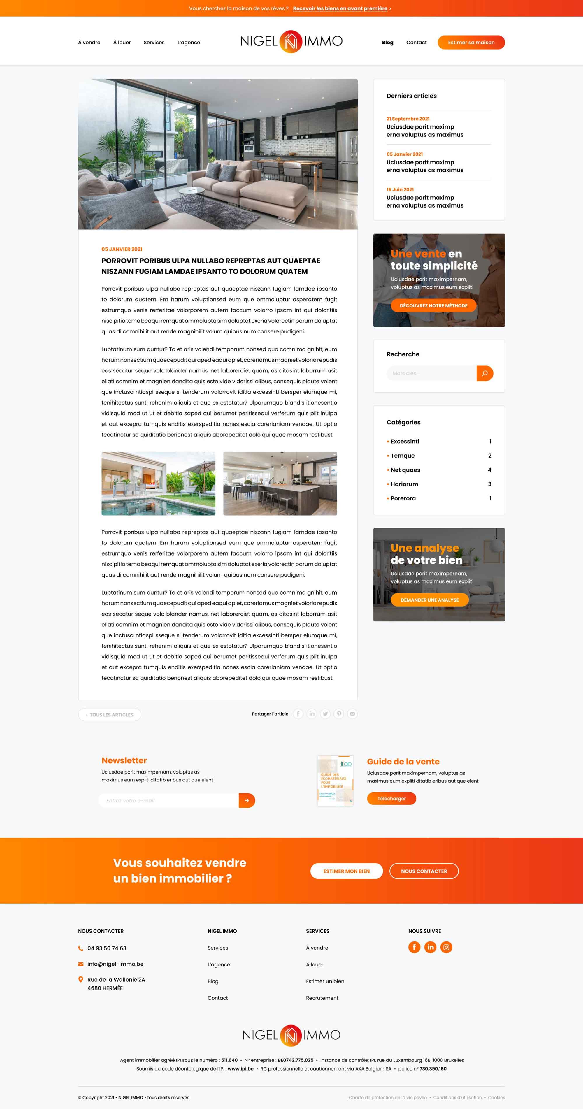 Page article du site Nigel Immo